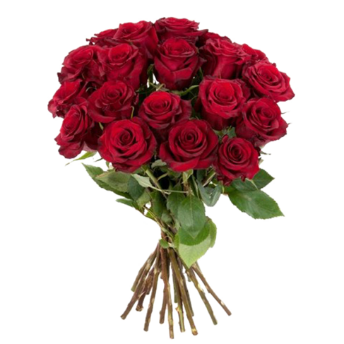 Rote Rosen im Bund