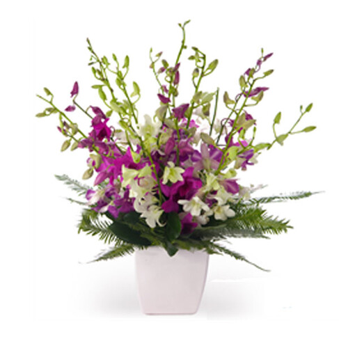 Blumenstrau&szlig; Orchideentraum