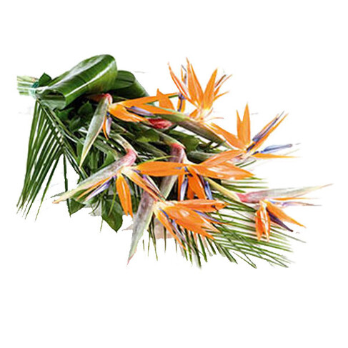 Blumenstrau&szlig; Paradiso
