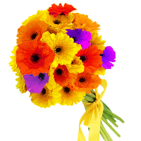 20 gelbe Gerberas