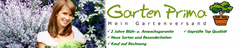 www.gartenprima.de