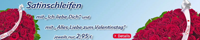Satinschleifen