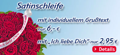 Satinschleifen