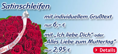 Satinschleifen
