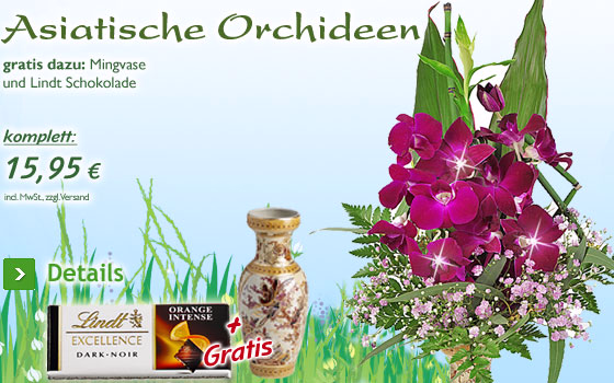Asiatische Orchideen