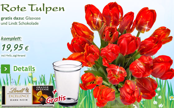 Rote Tulpen