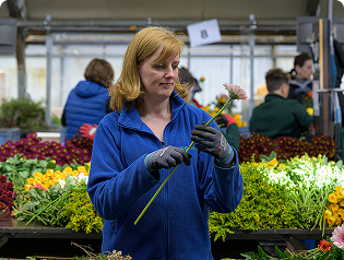 Qualitätsprüfung von Blumen in der Produktion
