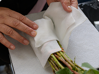 Wasserversorgung der Stiele mit feuchtem Vlies