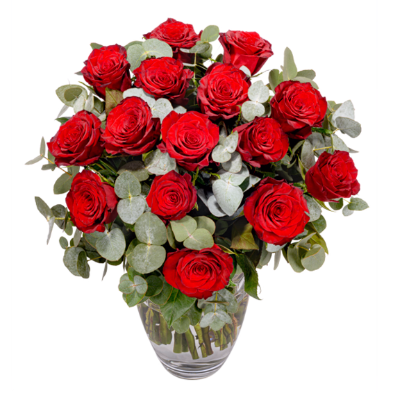 Rote Premiumrosen