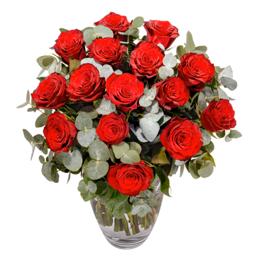 Rote Premiumrosen