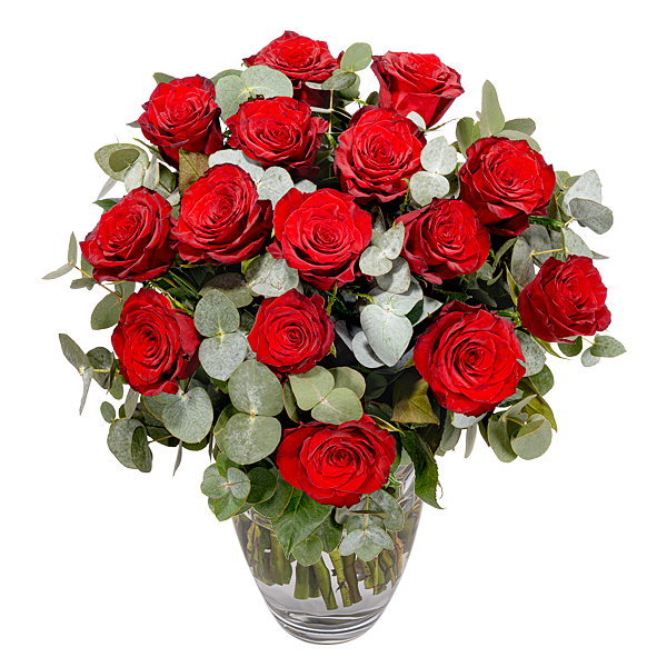 Red Premium roses