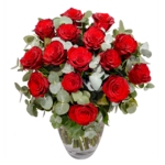 Red Premium roses