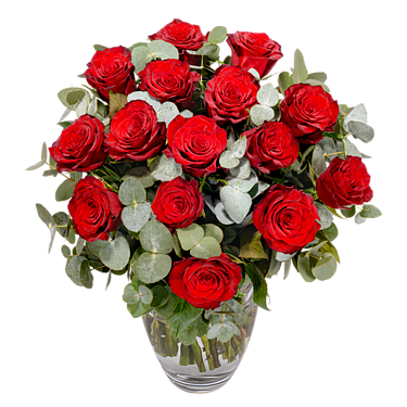 Red Premium roses