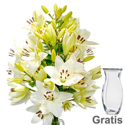 10 weiße Lilien im Bund mit Vase Schnittblumen im Bund liefern lassen