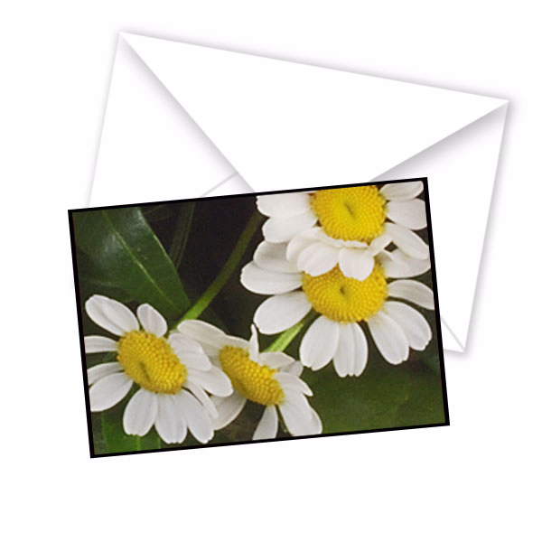 Greeting Card Floral