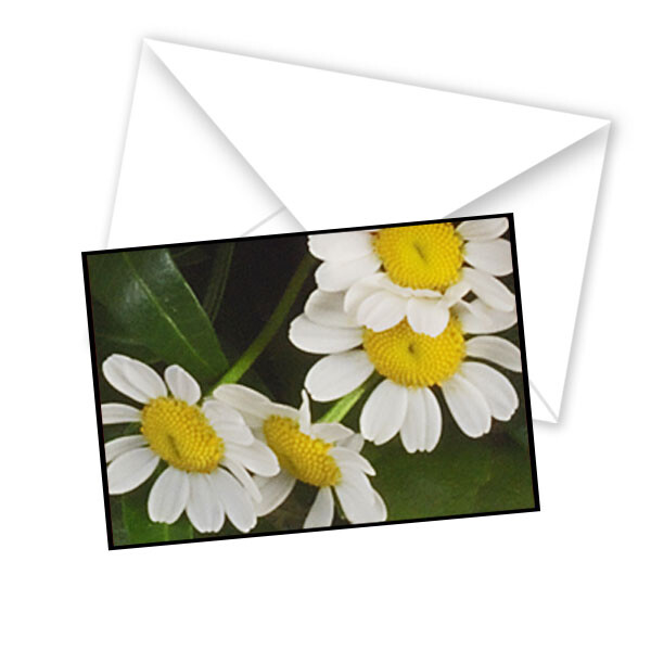 Greeting Card Floral