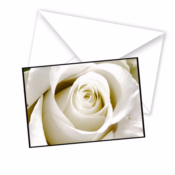 Greeting Card Harmony