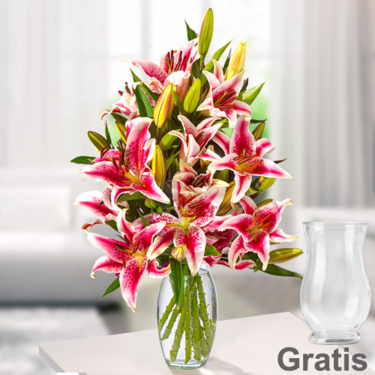 10 rosa Stargazer Lilien 10 rosa Stargazer Lilien