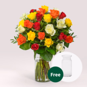 Individual mixed coloured roses with vase