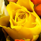 Bunter Rosenstrauß mit Vase