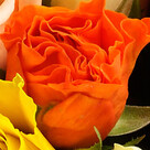 Bunter Rosenstrauß mit Vase