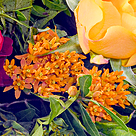 Rose Bouquet Rubin with vase & Ferrero Raffaello