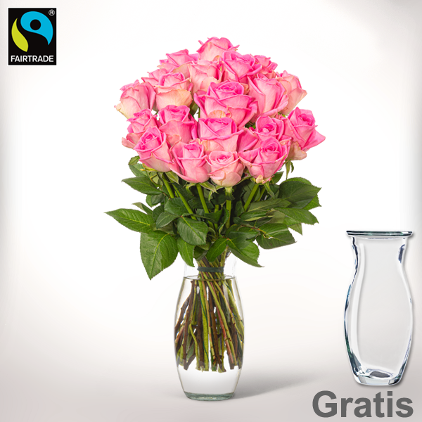 20 pinke Fairtrade Rosen im Bund mit Vase