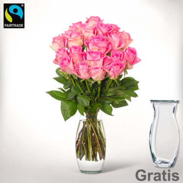 20 pinke Fairtrade Rosen im Bund mit Vase