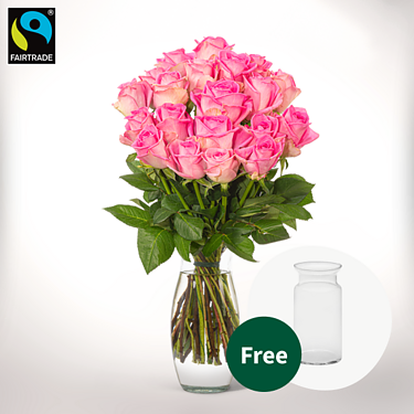 Bunch of 20 pink Fairtrade roses with vase