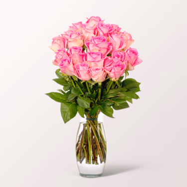 Bunch of 20 pink Fairtrade roses with vase