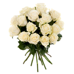 White Roses in a bunch