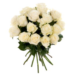 Weiße Rosen im Bund