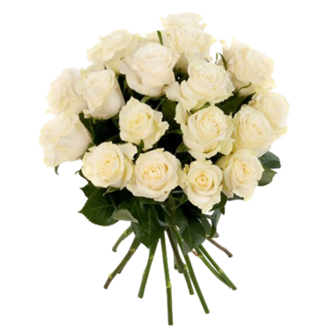 White Roses in a bunch