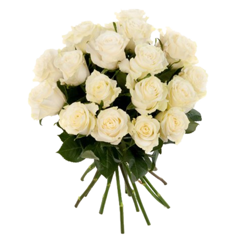 Weiße Rosen im Bund