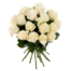 White Roses in a bunch