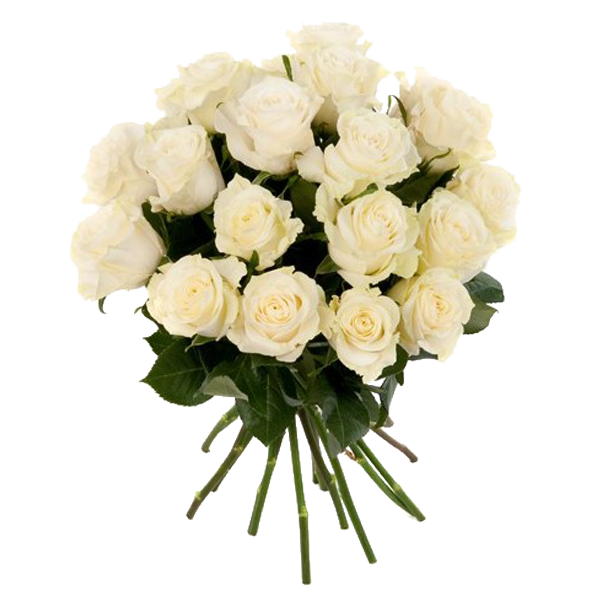 White Roses in a bunch