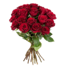 Rote Rosen im Bund
