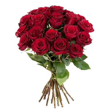 Red Roses in a bunch