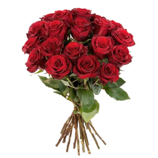 Rote Rosen im Bund