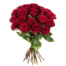 Rote Rosen im Bund