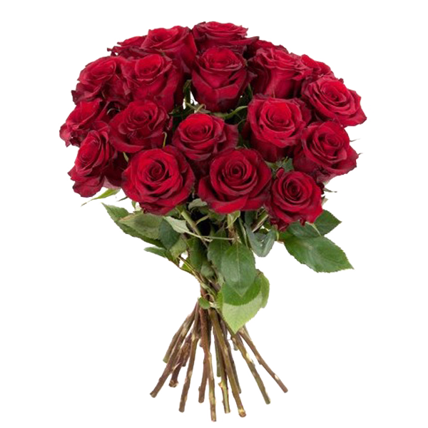 Blumen In Die Schweiz Verschicken Blumen verschicken in die Schweiz | FloraPrima.de