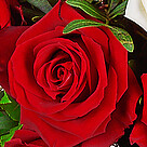 Rose Bouquet "Nur für Dich" with vase