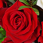 Rosenstrauß mit Vase „Nur für Dich“