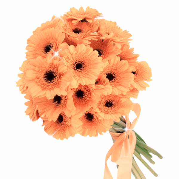 Flower Bouquet Jubilee