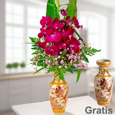 Asiatischen Orchideen Asiatischen Orchideen