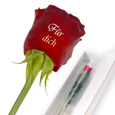 Golddruckrose "Für Dich" Golddruckrose "Für Dich"