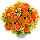 Blumenstrauß Sonnenstrahl