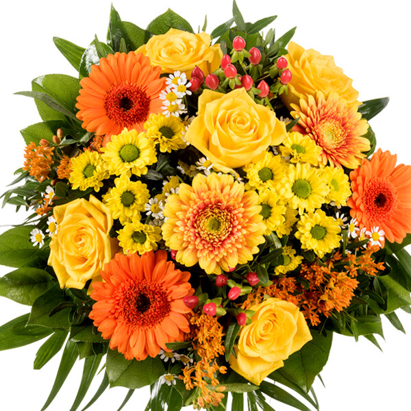 Frische Blumen ExpressLieferung noch heute FloraPrima.de