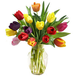 Blumenstrauß Tulpentraum Blumenstrauß Tulpentraum