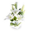 Blumenarrangement Brilliant